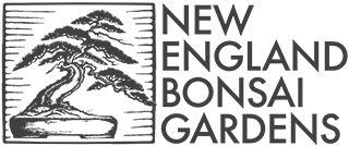 bonsai gardens